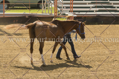 PC4HFair2015_5378_notforcopy