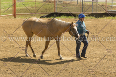 PC4HFair2015_5389_notforcopy