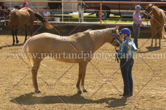 PC4HFair2015_5394_notforcopy