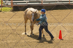 PC4HFair2015_5408_notforcopy