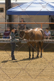 PC4HFair2015_5419_notforcopy