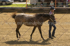 PC4HFair2015_5477_notforcopy