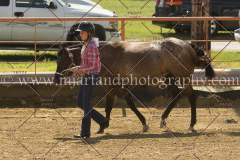 PC4HFair2015_5500_notforcopy