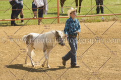 PC4HFair2015_5517_notforcopy