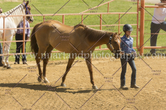 PC4HFair2015_5594_notforcopy
