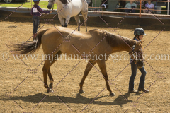 PC4HFair2015_5602_notforcopy