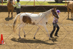 PC4HFair2015_5629_notforcopy