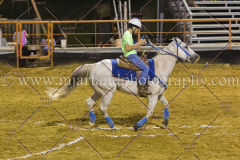 PC4HFair2015_9385_notforcopy