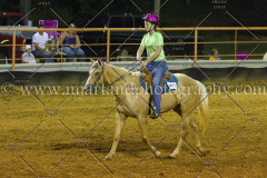 PC4HFair2015_9392_notforcopy