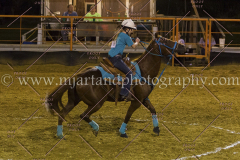 PC4HFair2015_9410_notforcopy