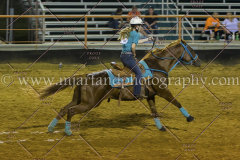 PC4HFair2015_9413_notforcopy