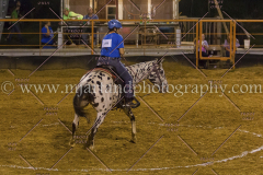 PC4HFair2015_9422_notforcopy