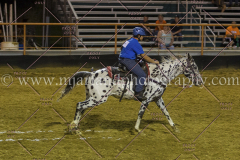 PC4HFair2015_9426_notforcopy