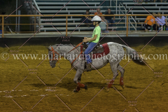 PC4HFair2015_9433_notforcopy