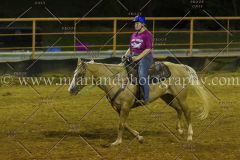 PC4HFair2015_9458_notforcopy