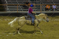 PC4HFair2015_9467_notforcopy