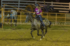 PC4HFair2015_9484_notforcopy