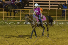 PC4HFair2015_9497_notforcopy