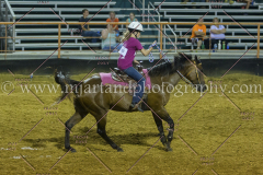 PC4HFair2015_9508_notforcopy