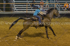 PC4HFair2015_9521_notforcopy
