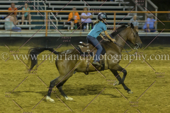 PC4HFair2015_9523_notforcopy
