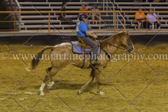 PC4HFair2015_9537_notforcopy