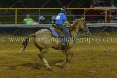 PC4HFair2015_9538_notforcopy