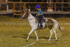 PC4HFair2015_9551_notforcopy