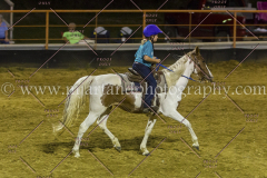 PC4HFair2015_9557_notforcopy