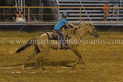 PC4HFair2015_9565_notforcopy