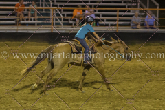 PC4HFair2015_9568_notforcopy
