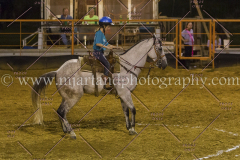 PC4HFair2015_9582_notforcopy