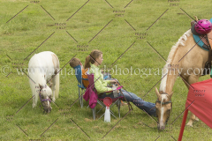 PC4HFair2015_7108_notforcopy