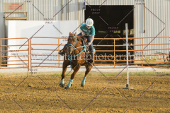 PC4HFair2015_8773_notforcopy