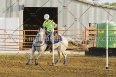 PC4HFair2015_8781_notforcopy