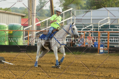 PC4HFair2015_8786_notforcopy