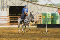 PC4HFair2015_8801_notforcopy