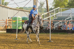PC4HFair2015_8803_notforcopy
