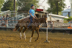 PC4HFair2015_8841_notforcopy