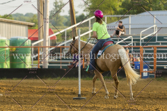 PC4HFair2015_8851_notforcopy