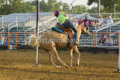 PC4HFair2015_8859_notforcopy