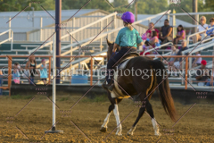 PC4HFair2015_8956_notforcopy