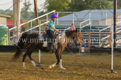 PC4HFair2015_8966_notforcopy