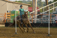 PC4HFair2015_8984_notforcopy