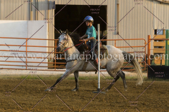 PC4HFair2015_8997_notforcopy