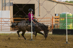 PC4HFair2015_9034_notforcopy