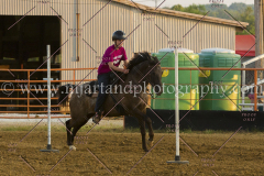 PC4HFair2015_9043_notforcopy