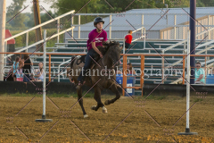 PC4HFair2015_9047_notforcopy