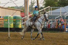 PC4HFair2015_9057_notforcopy