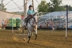 PC4HFair2015_9070_notforcopy